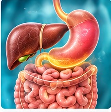 Stomach & Liver Diseases illustration