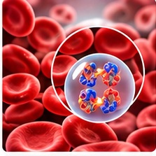 Anemia (Low Hemoglobin) illustration