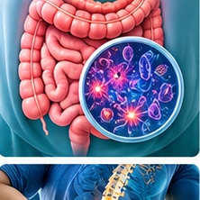 Typhoid illustration